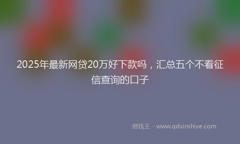 2025年最新网贷20万好下款吗，汇总五个不看征信查询的口子