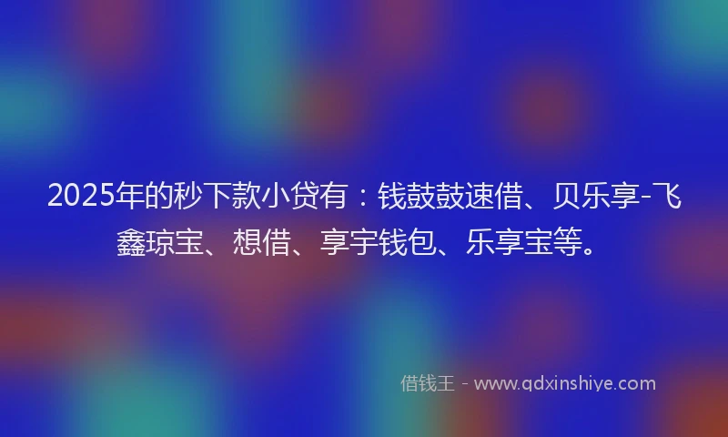 2025年的秒下款小贷有：钱鼓鼓速借、贝乐享-飞鑫琼宝、想借、享宇钱包、乐享宝等。