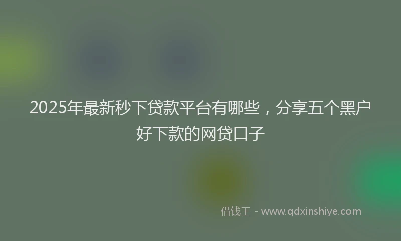 2025年最新秒下贷款平台有哪些，分享五个黑户好下款的网贷口子