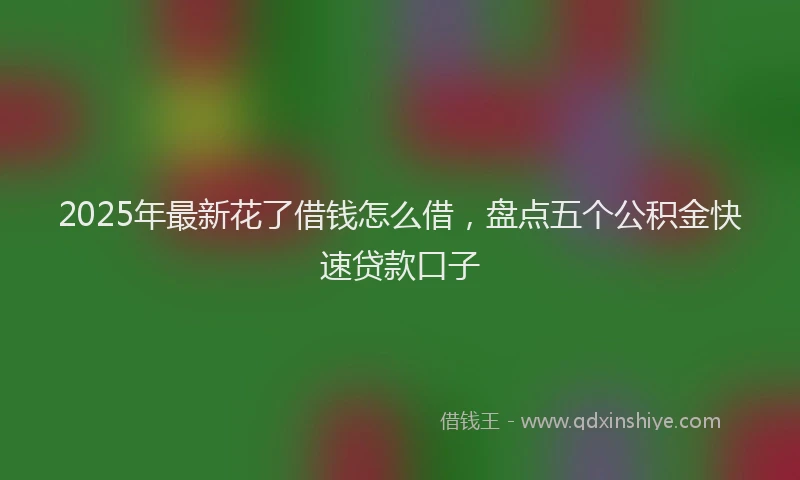 2025年最新花了借钱怎么借，盘点五个公积金快速贷款口子