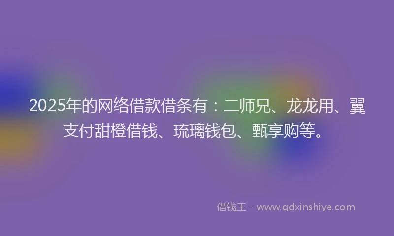 2025年的网络借款借条有：二师兄、龙龙用、翼支付甜橙借钱、琉璃钱包、甄享购等。