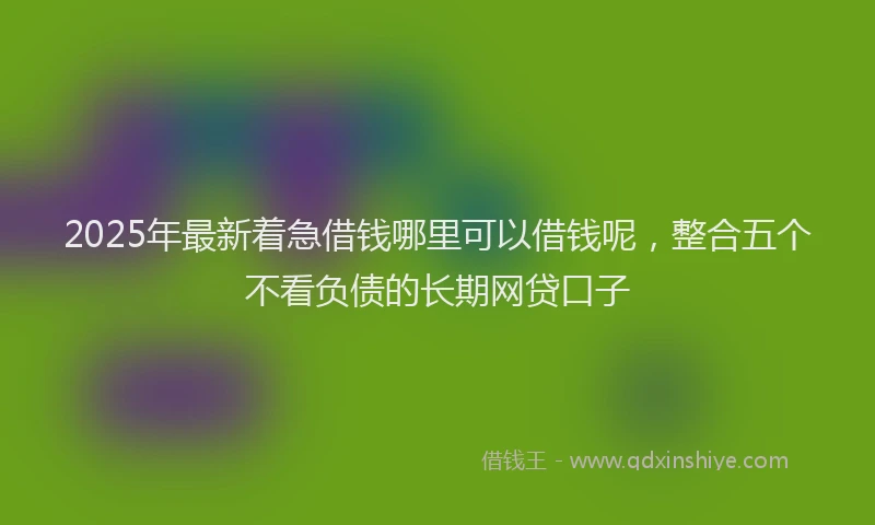 2025年最新着急借钱哪里可以借钱呢，整合五个不看负债的长期网贷口子