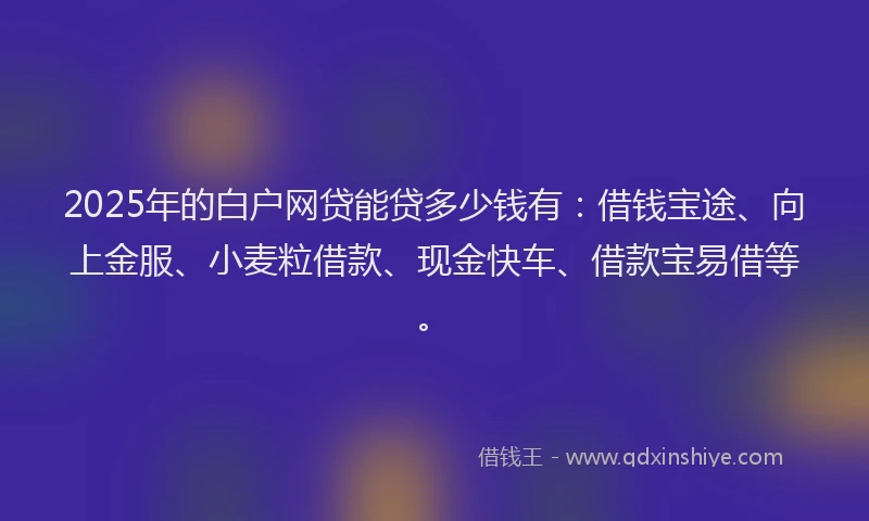 2025年的白户网贷能贷多少钱有：借钱宝途、向上金服、小麦粒借款、现金快车、借款宝易借等。