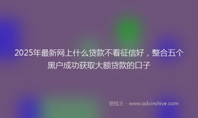 2025年最新网上什么贷款不看征信好，整合五个黑户成功获取大额贷款的口子