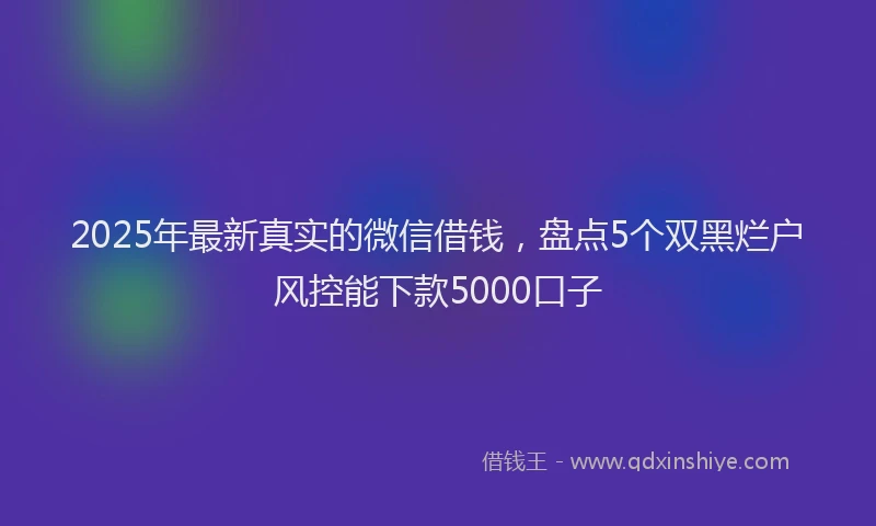 2025年最新真实的微信借钱，盘点5个双黑烂户风控能下款5000口子