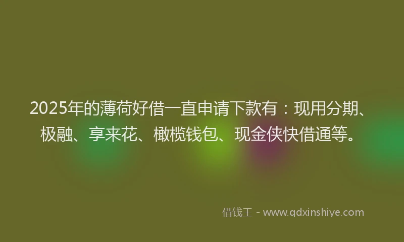 2025年的薄荷好借一直申请下款有：现用分期、极融、享来花、橄榄钱包、现金侠快借通等。