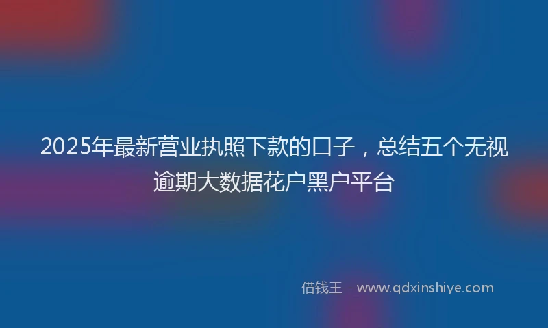 2025年最新营业执照下款的口子，总结五个无视逾期大数据花户黑户平台