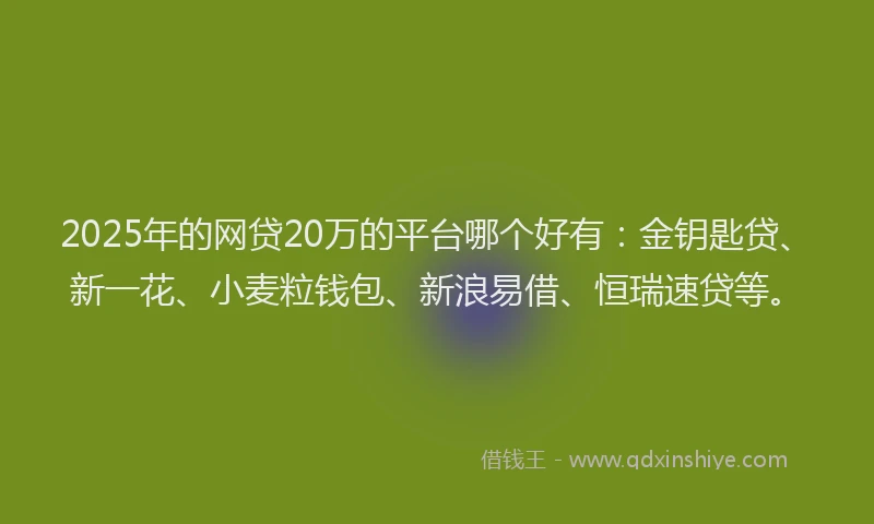2025年的网贷20万的平台哪个好有：金钥匙贷、新一花、小麦粒钱包、新浪易借、恒瑞速贷等。