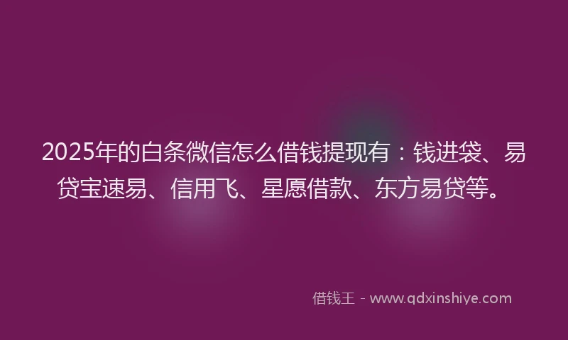 2025年的白条微信怎么借钱提现有：钱进袋、易贷宝速易、信用飞、星愿借款、东方易贷等。