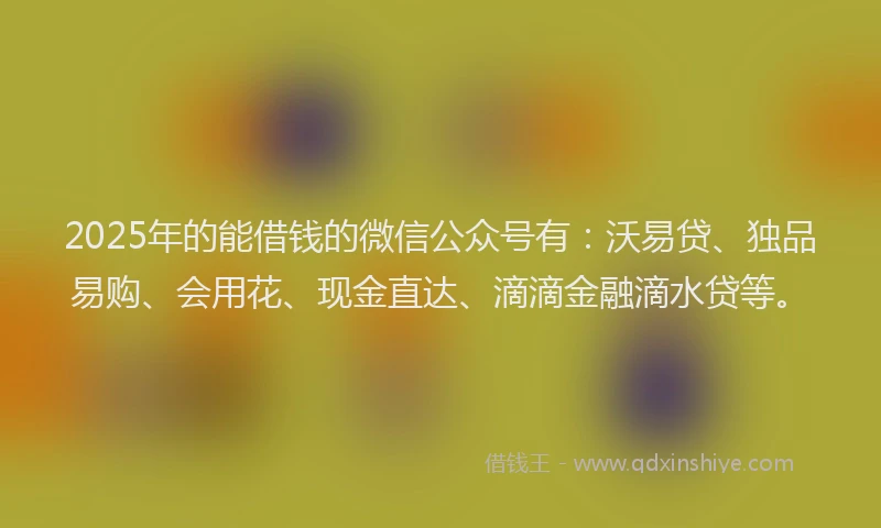 2025年的能借钱的微信公众号有：沃易贷、独品易购、会用花、现金直达、滴滴金融滴水贷等。