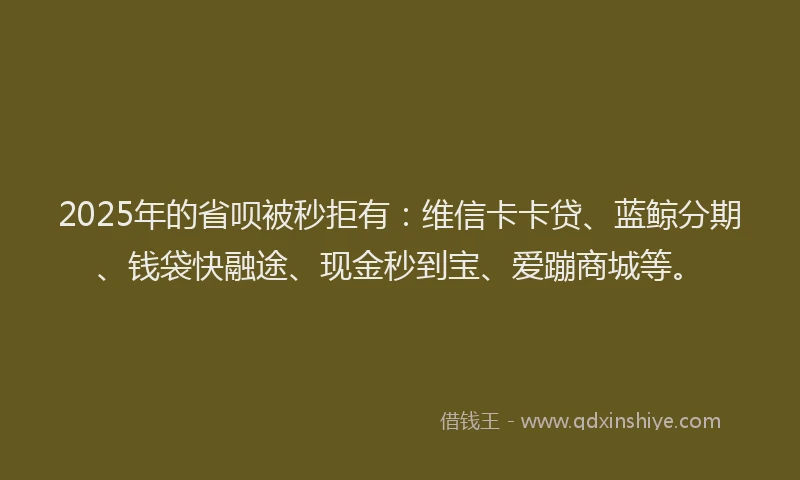 2025年的省呗被秒拒有：维信卡卡贷、蓝鲸分期、钱袋快融途、现金秒到宝、爱蹦商城等。