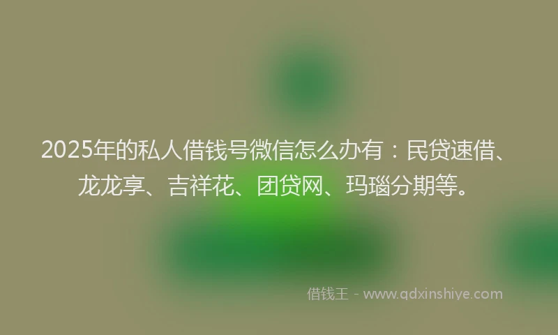 2025年的私人借钱号微信怎么办有:民贷速借、龙龙享、吉祥花、团贷网、玛瑙分期等。