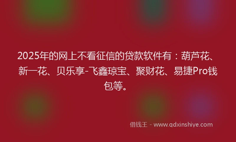 2025年的网上不看征信的贷款软件有：葫芦花、新一花、贝乐享-飞鑫琼宝、聚财花、易捷Pro钱包等。