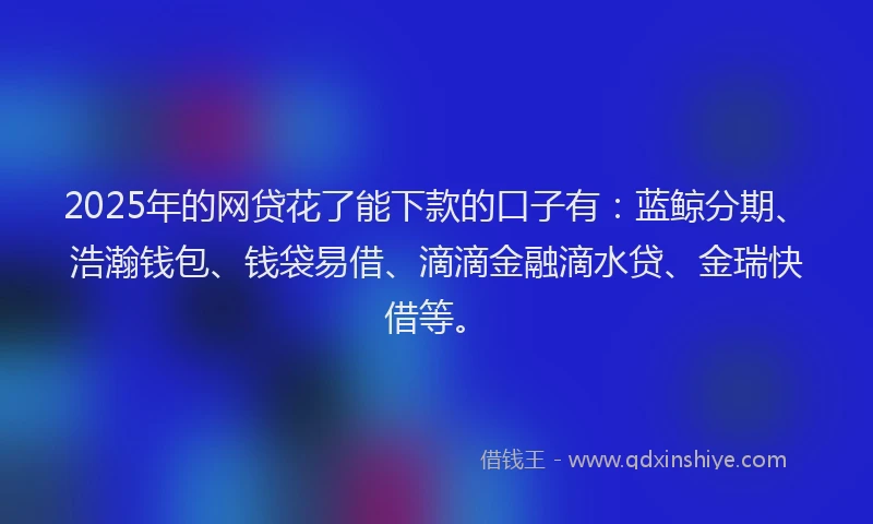2025年的网贷花了能下款的口子有：蓝鲸分期、浩瀚钱包、钱袋易借、滴滴金融滴水贷、金瑞快借等。