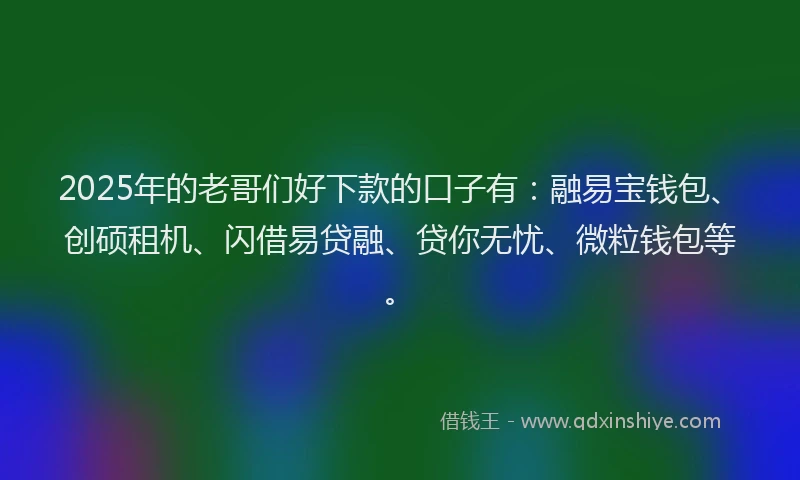 2025年的老哥们好下款的口子有：融易宝钱包、创硕租机、闪借易贷融、贷你无忧、微粒钱包等。