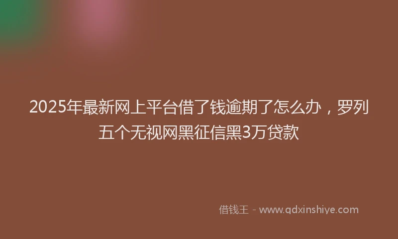 2025年最新网上平台借了钱逾期了怎么办，罗列五个无视网黑征信黑3万贷款