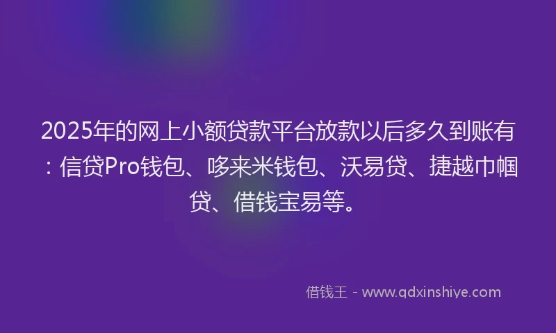 2025年的网上小额贷款平台放款以后多久到账有：信贷Pro钱包、哆来米钱包、沃易贷、捷越巾帼贷、借钱宝易等。
