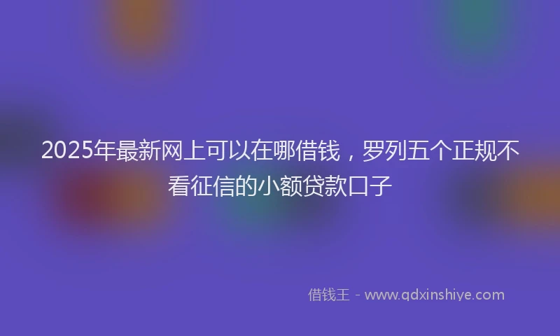 2025年最新网上可以在哪借钱，罗列五个正规不看征信的小额贷款口子