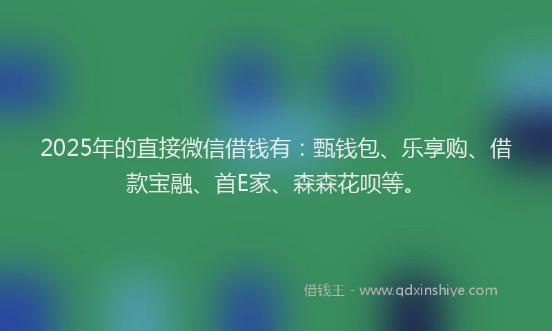 2025年的直接微信借钱有：甄钱包、乐享购、借款宝融、首E家、森森花呗等。