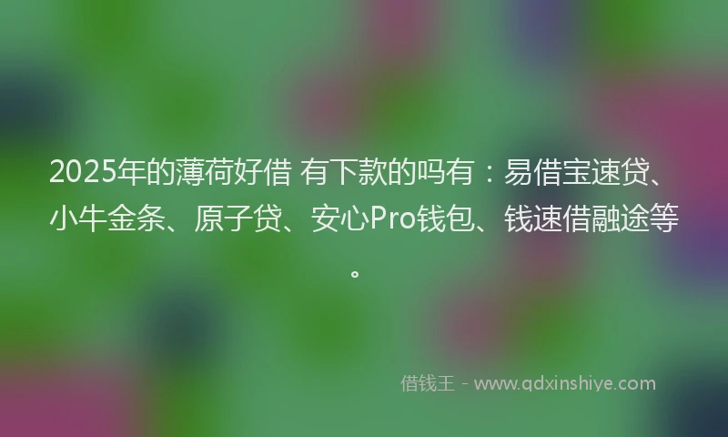 2025年的薄荷好借 有下款的吗有：易借宝速贷、小牛金条、原子贷、安心Pro钱包、钱速借融途等。