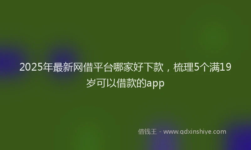 2025年最新网借平台哪家好下款，梳理5个满19岁可以借款的app