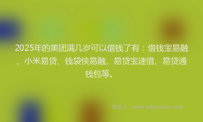 2025年的美团满几岁可以借钱了有：借钱宝易融、小米易贷、钱袋快易融、易贷宝速借、易贷通钱包等。