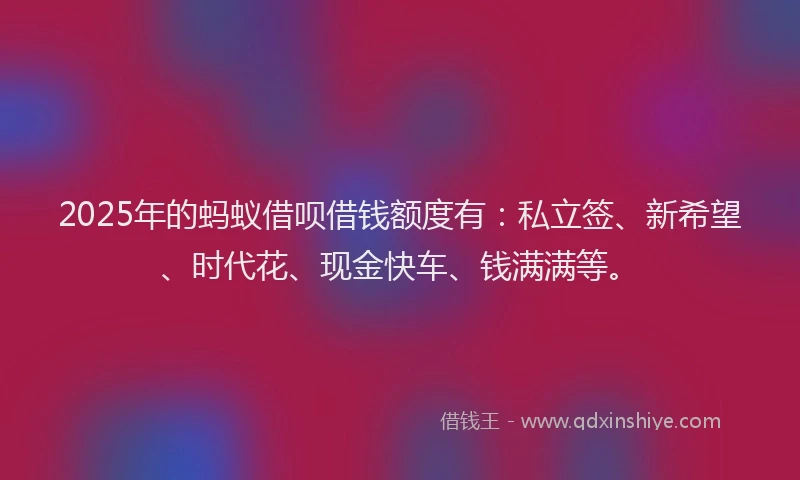 2025年的蚂蚁借呗借钱额度有：私立签、新希望、时代花、现金快车、钱满满等。
