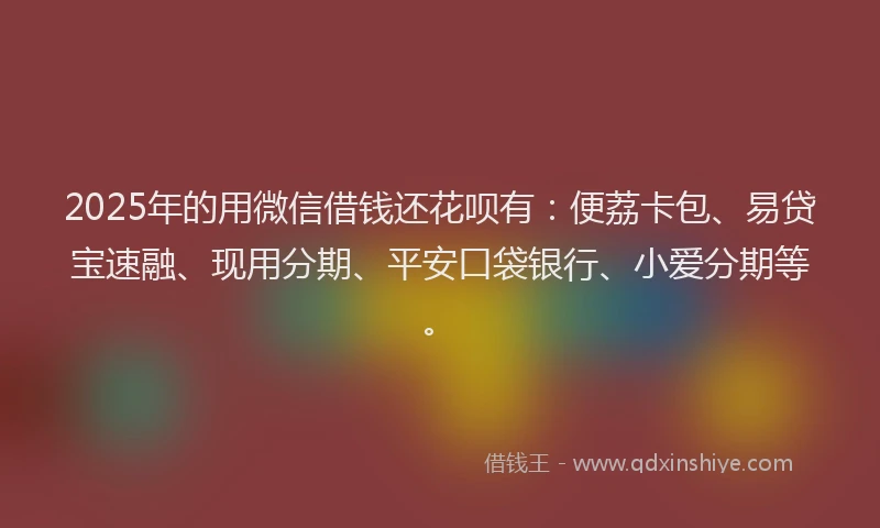 2025年的用微信借钱还花呗有：便荔卡包、易贷宝速融、现用分期、平安口袋银行、小爱分期等。