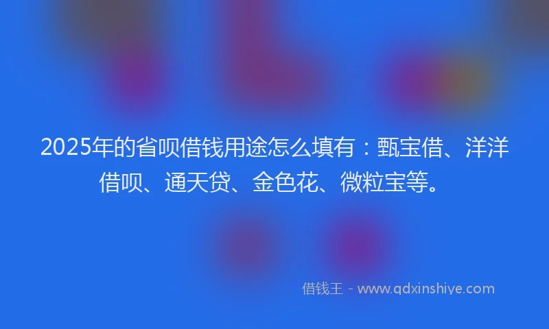 2025年的省呗借钱用途怎么填有：甄宝借、洋洋借呗、通天贷、金色花、微粒宝等。