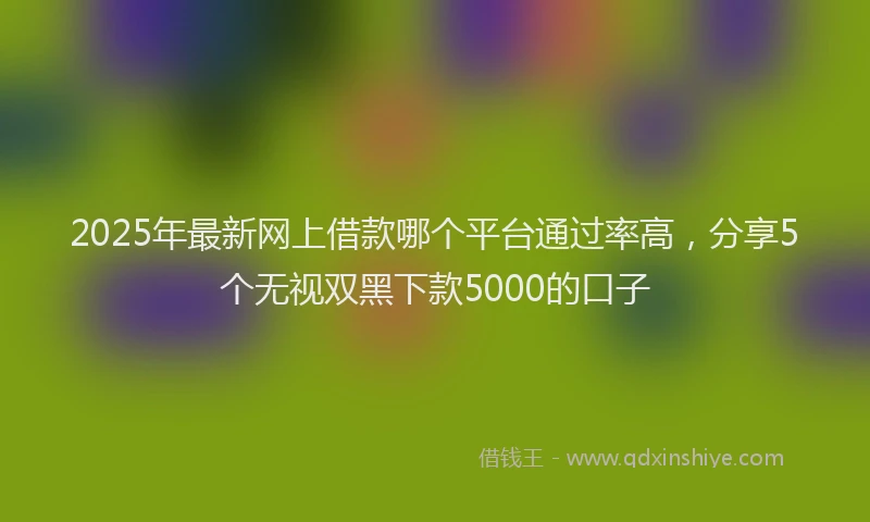 2025年最新网上借款哪个平台通过率高，分享5个无视双黑下款5000的口子