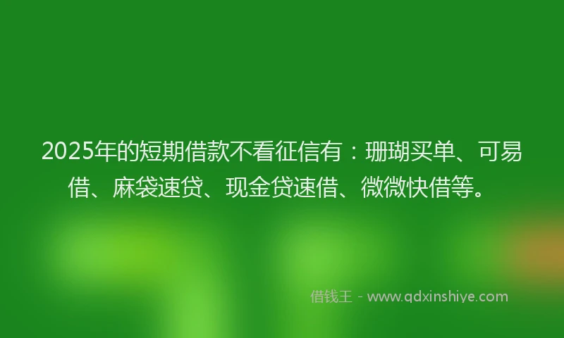 2025年的短期借款不看征信有：珊瑚买单、可易借、麻袋速贷、现金贷速借、微微快借等。