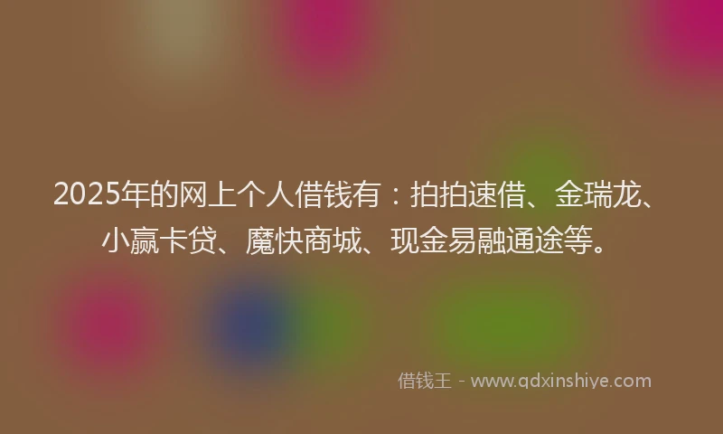 2025年的网上个人借钱有：拍拍速借、金瑞龙、小赢卡贷、魔快商城、现金易融通途等。