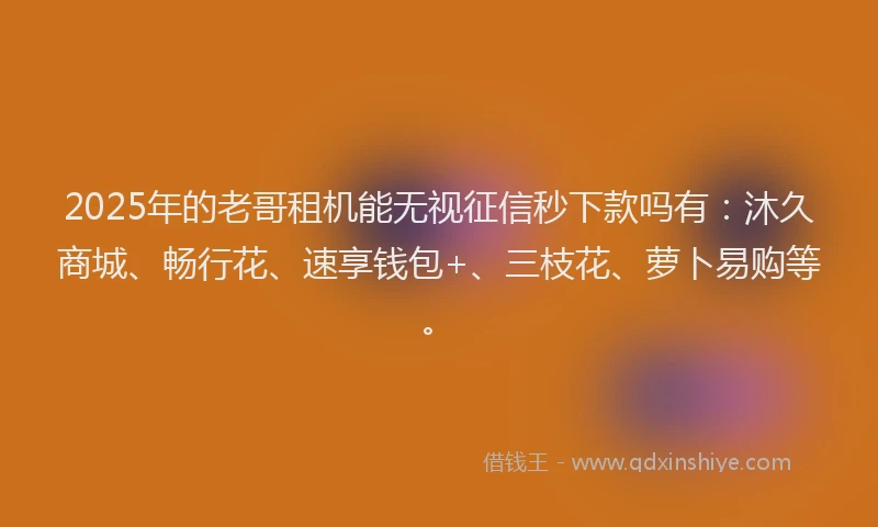 2025年的老哥租机能无视征信秒下款吗有：沐久商城、畅行花、速享钱包+、三枝花、萝卜易购等。