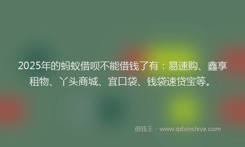 2025年的蚂蚁借呗不能借钱了有：易速购、鑫享租物、丫头商城、宜口袋、钱袋速贷宝等。