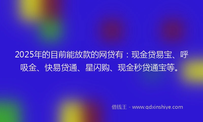 2025年的目前能放款的网贷有：现金贷易宝、呼吸金、快易贷通、星闪购、现金秒贷通宝等。