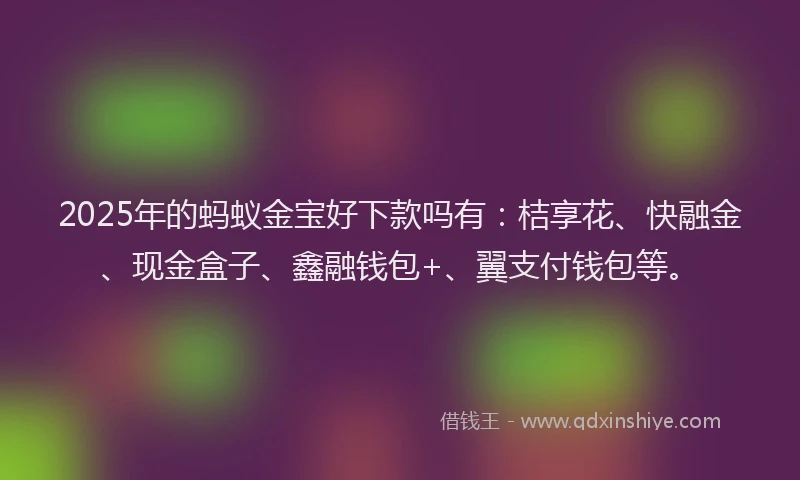 2025年的蚂蚁金宝好下款吗有：桔享花、快融金、现金盒子、鑫融钱包+、翼支付钱包等。