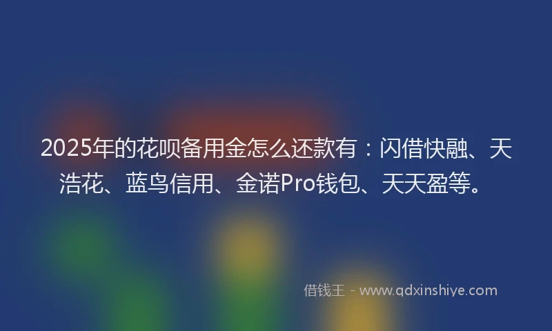 2025年的花呗备用金怎么还款有：闪借快融、天浩花、蓝鸟信用、金诺Pro钱包、天天盈等。