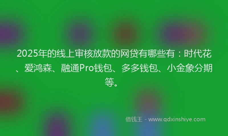 2025年的线上审核放款的网贷有哪些有：时代花、爱鸿森、融通Pro钱包、多多钱包、小金象分期等。