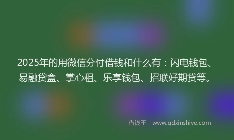 2025年的用微信分付借钱和什么有：闪电钱包、易融贷盒、掌心租、乐享钱包、招联好期贷等。