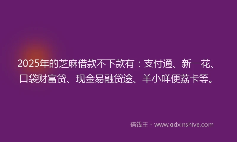 2025年的芝麻借款不下款有：支付通、新一花、口袋财富贷、现金易融贷途、羊小咩便荔卡等。