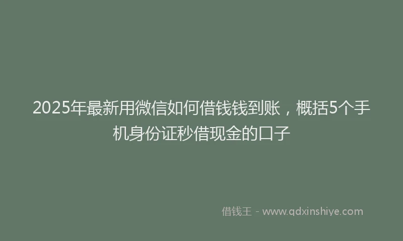 2025年最新用微信如何借钱钱到账，概括5个手机身份证秒借现金的口子