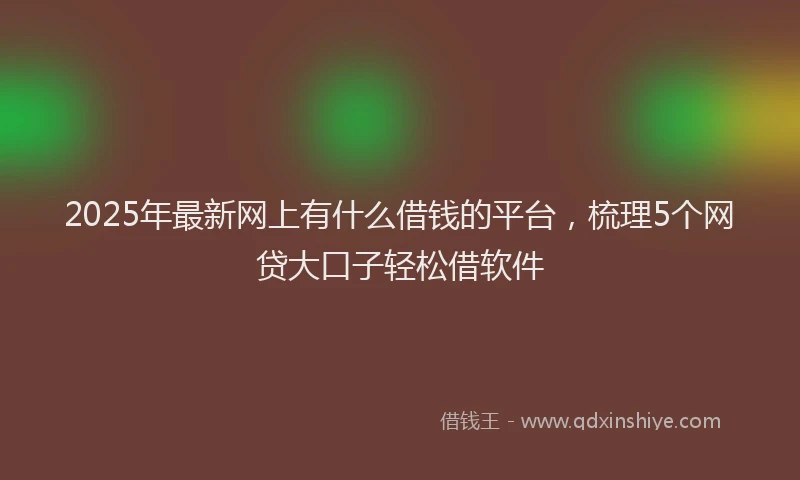 2025年最新网上有什么借钱的平台，梳理5个网贷大口子轻松借软件