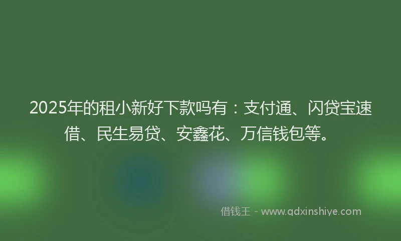 2025年的租小新好下款吗有：支付通、闪贷宝速借、民生易贷、安鑫花、万信钱包等。