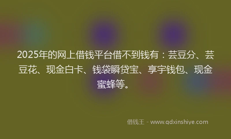 2025年的网上借钱平台借不到钱有：芸豆分、芸豆花、现金白卡、钱袋瞬贷宝、享宇钱包、现金蜜蜂等。