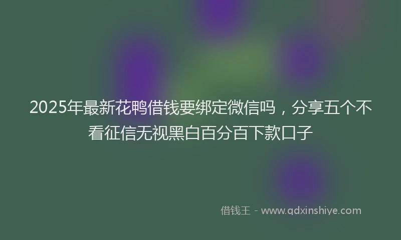 2025年最新花鸭借钱要绑定微信吗，分享五个不看征信无视黑白百分百下款口子