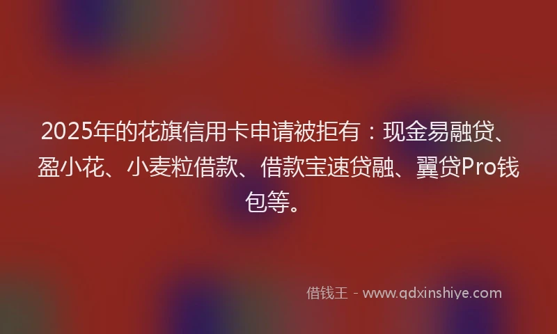 2025年的花旗信用卡申请被拒有：现金易融贷、盈小花、小麦粒借款、借款宝速贷融、翼贷Pro钱包等。