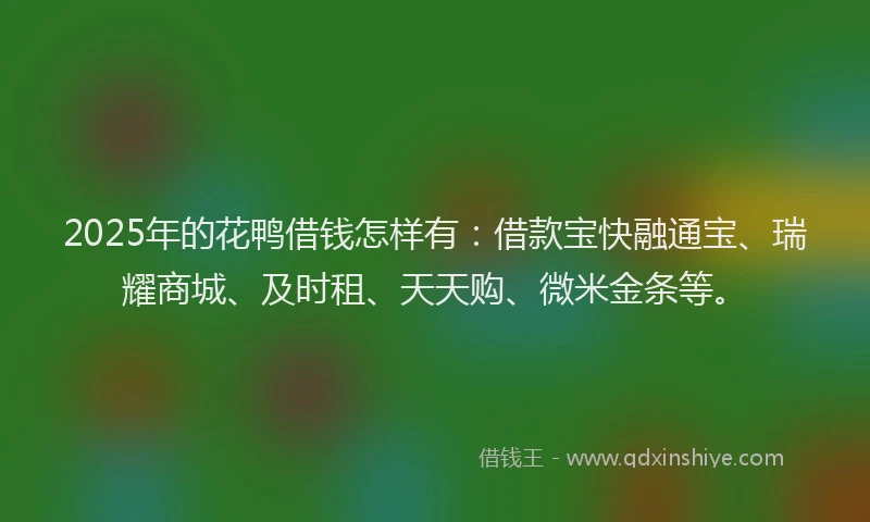 2025年的花鸭借钱怎样有：借款宝快融通宝、瑞耀商城、及时租、天天购、微米金条等。