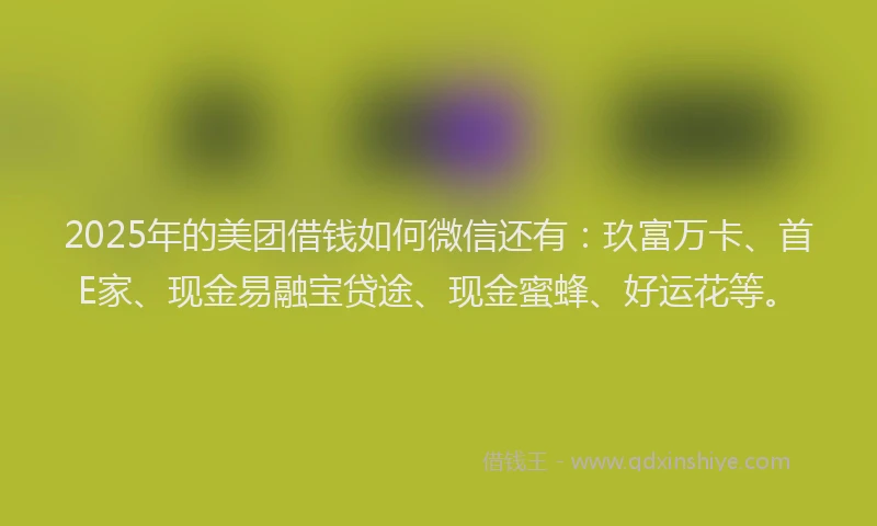 2025年的美团借钱如何微信还有：玖富万卡、首E家、现金易融宝贷途、现金蜜蜂、好运花等。
