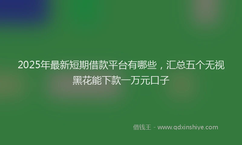 2025年最新短期借款平台有哪些，汇总五个无视黑花能下款一万元口子