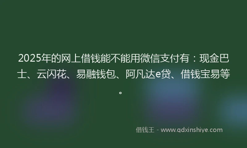 2025年的网上借钱能不能用微信支付有：现金巴士、云闪花、易融钱包、阿凡达e贷、借钱宝易等。